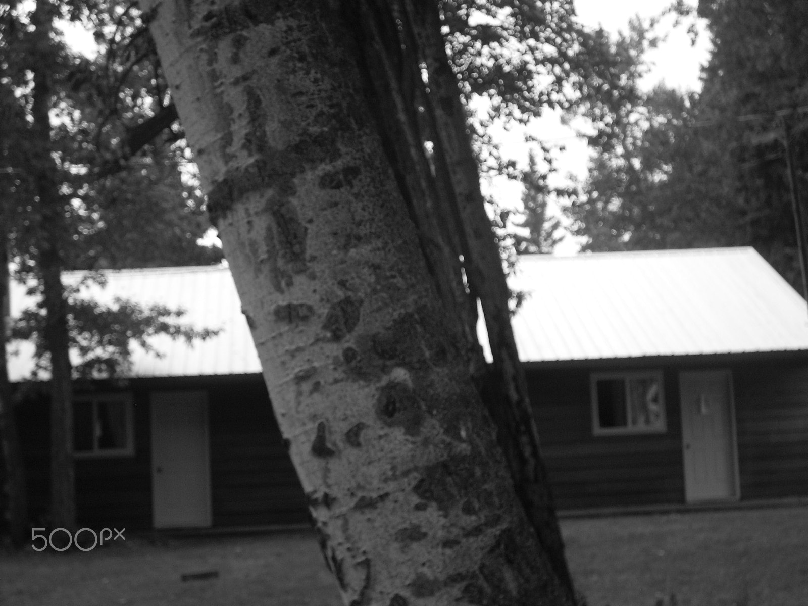 Samsung KENOX S760  / Samsung S760 sample photo. Natures beauty photography