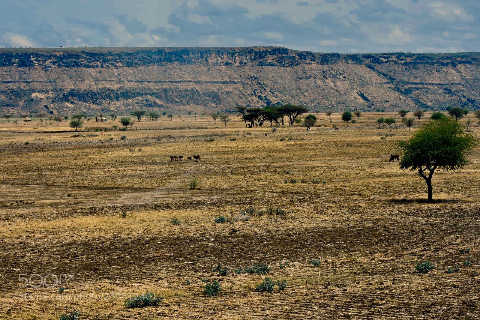 Nikon D7200 sample photo. Landscape mode  photography