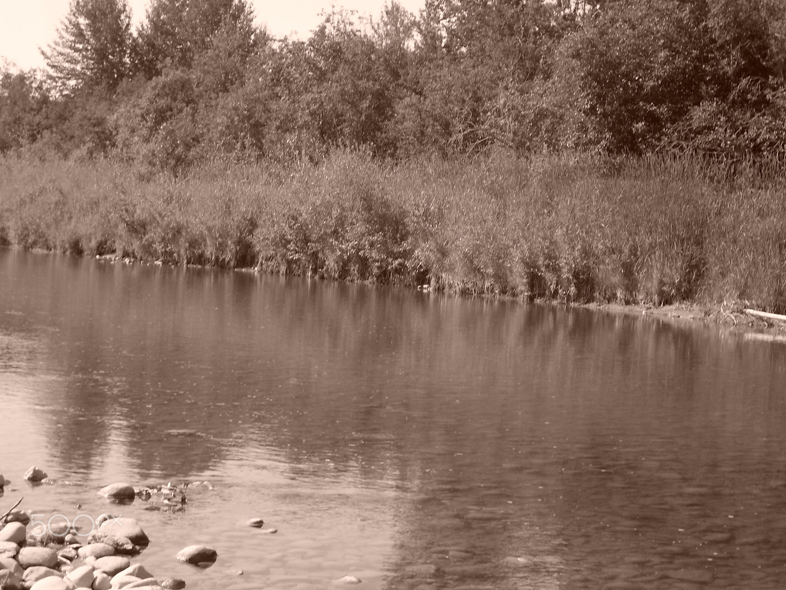 Samsung KENOX S760  / Samsung S760 sample photo. Natures beauty photography