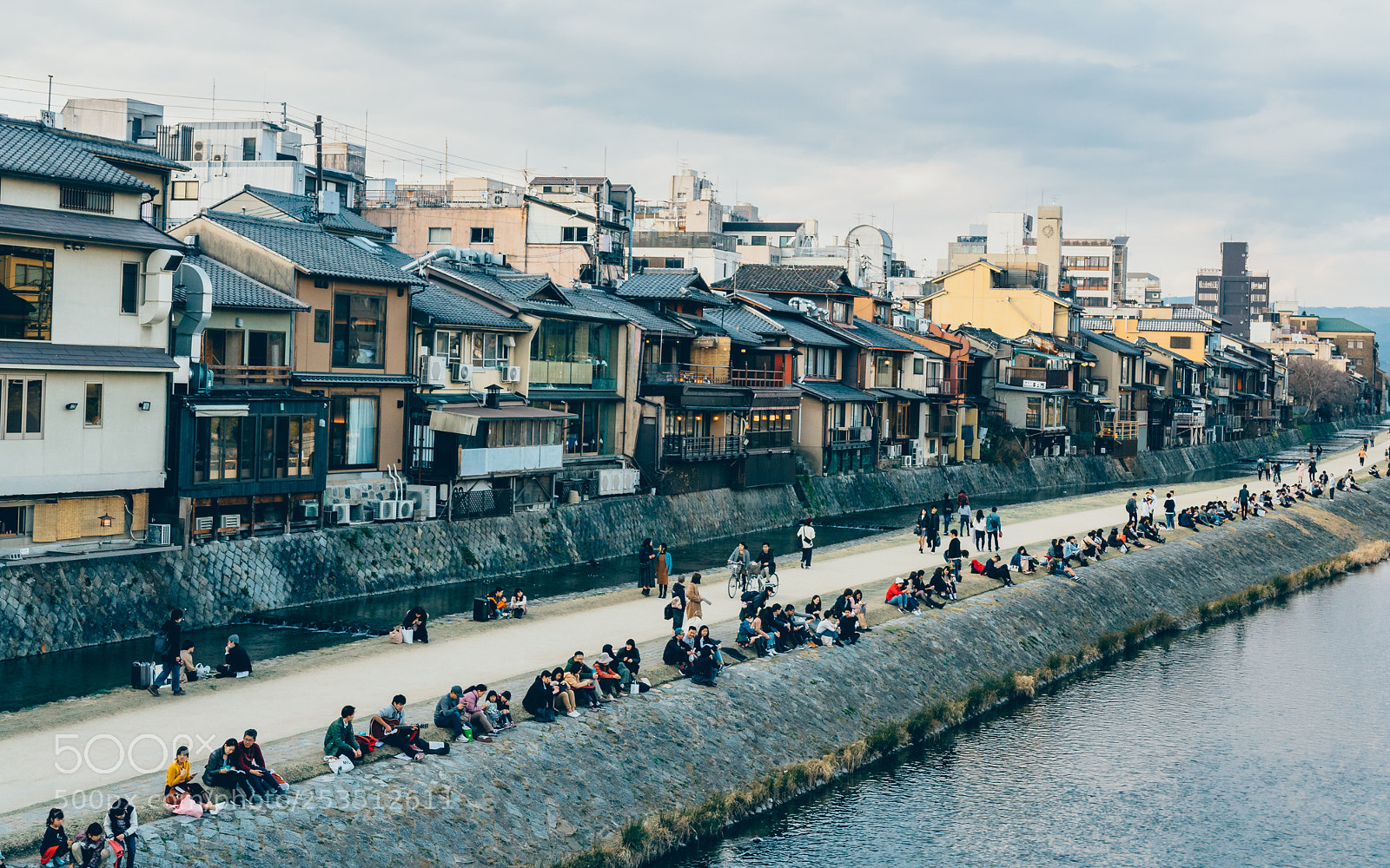 Nikon D5300 sample photo. Along the kamo river photography