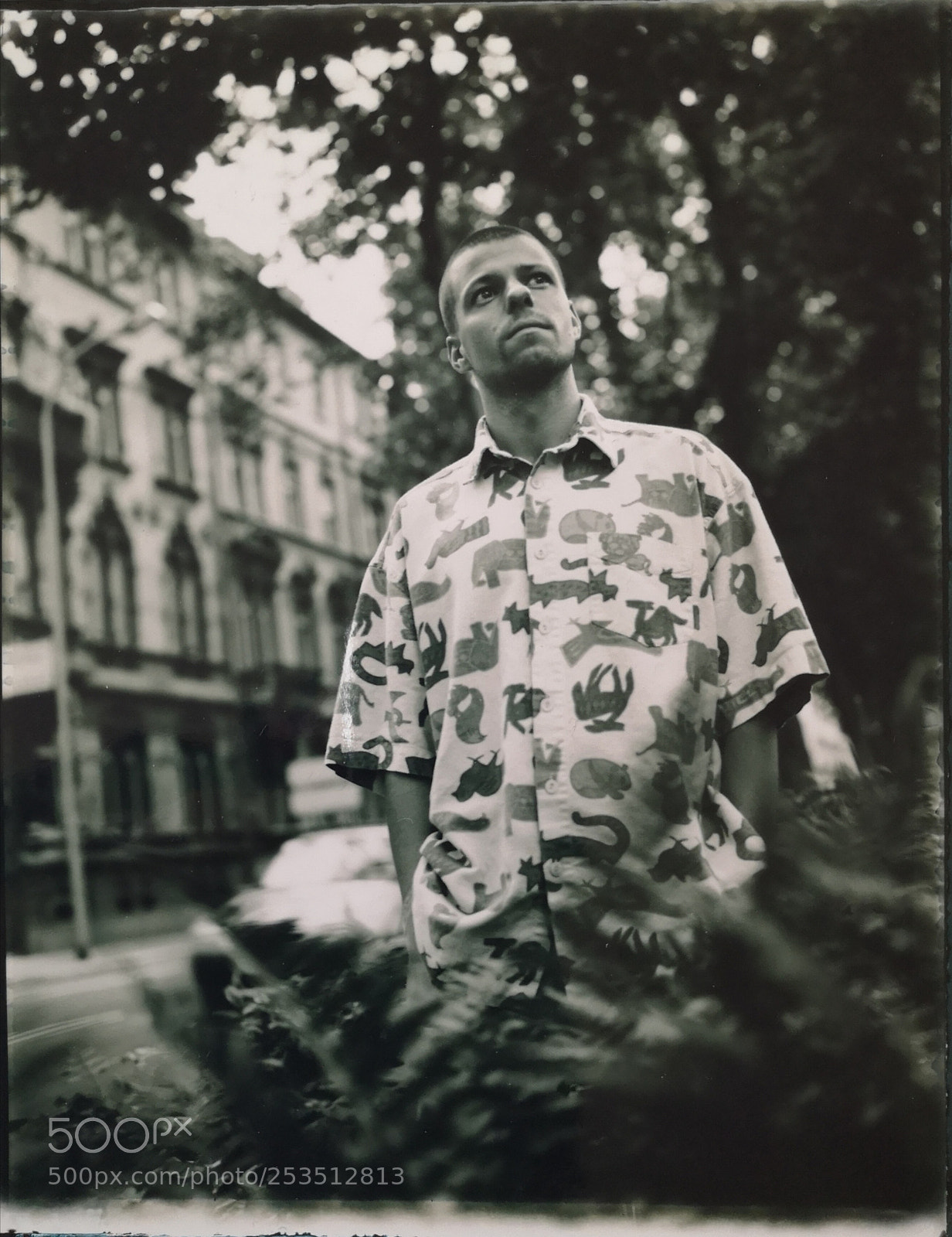 HUAWEI P20 sample photo. Polaroidman photography