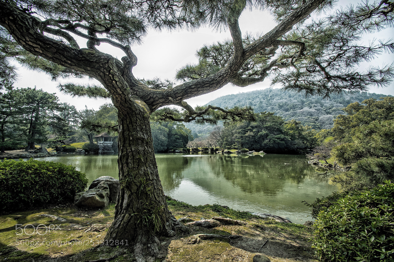 Pentax K-3 sample photo. Ritsurin garden photography
