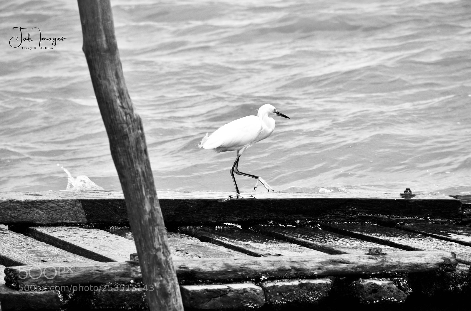 Nikon D7000 sample photo. Wandering (2) photography