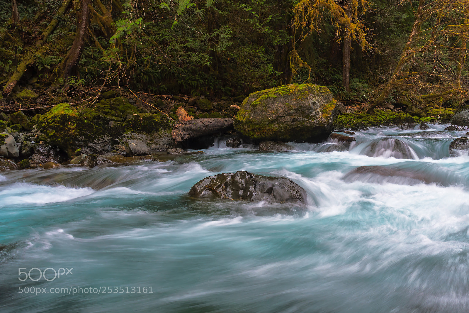 Nikon D500 sample photo. Dosewallips river photography