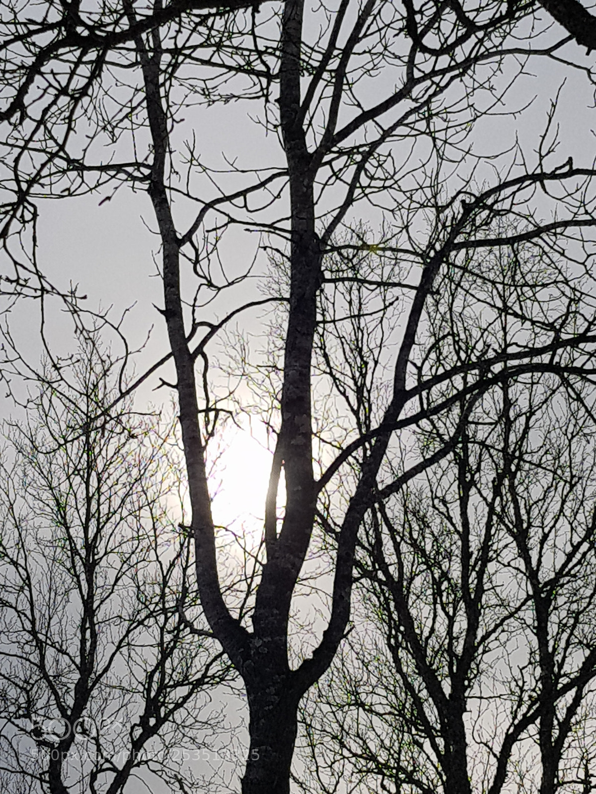 Samsung Galaxy S8 sample photo. B/w photography