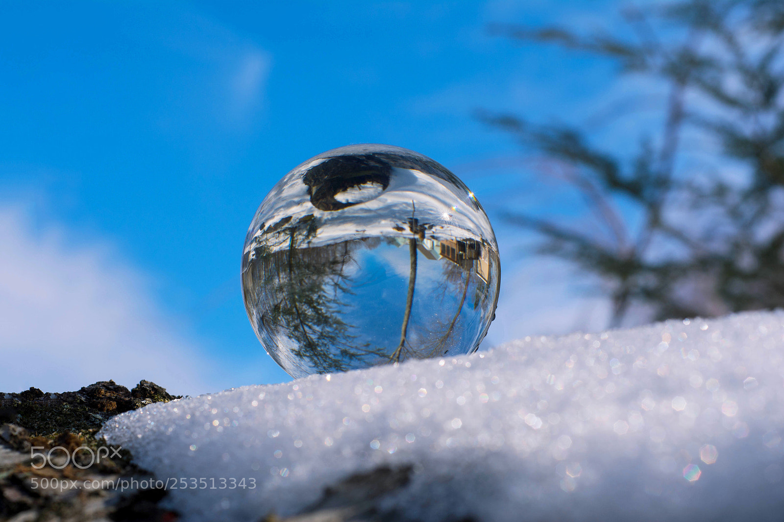 Nikon D7100 sample photo. Untitled photography