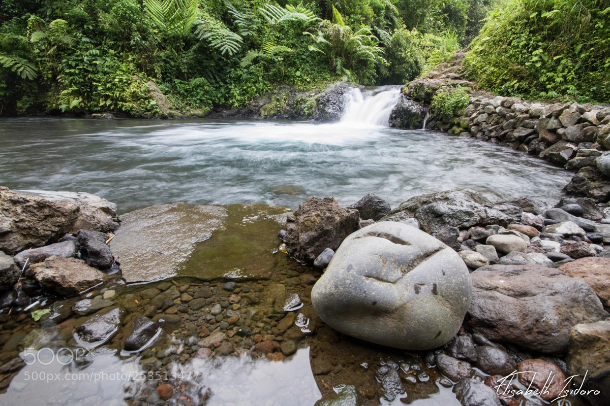 Canon EOS 7D sample photo. Le bassin photography