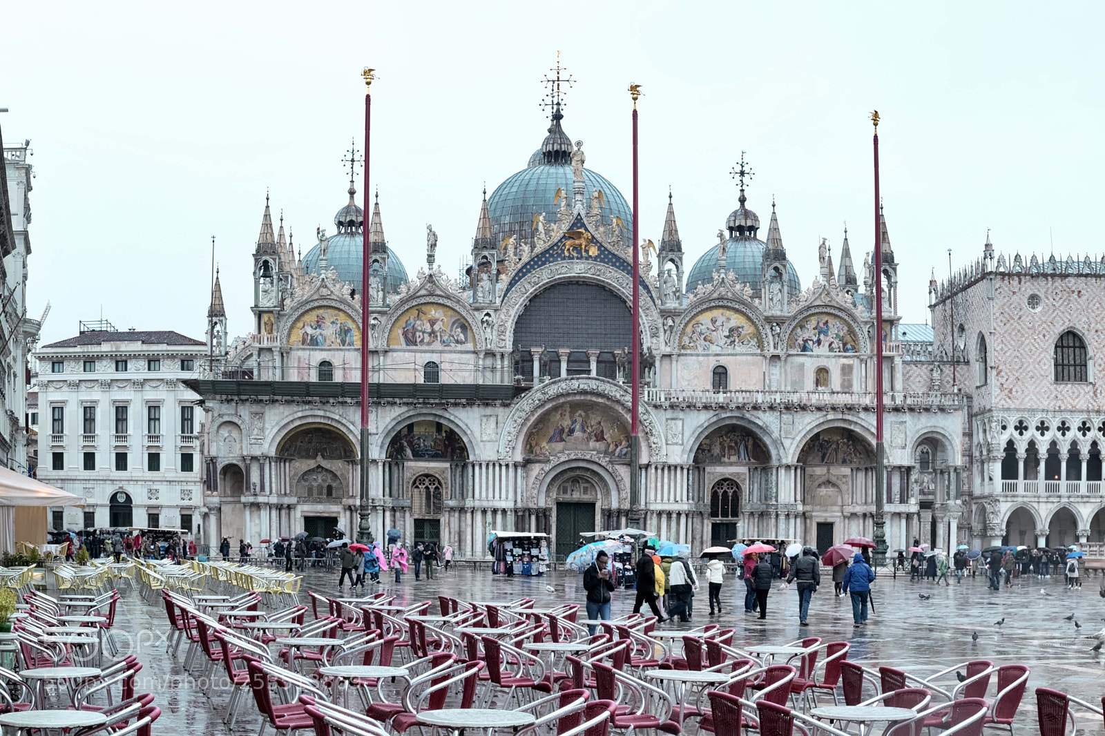 Nikon D3300 sample photo. Plaza san marco  photography