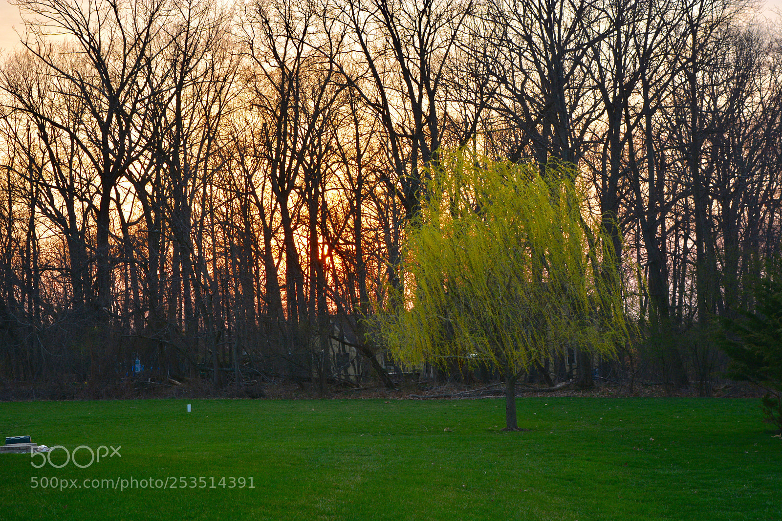 Nikon D7100 sample photo. Untitled photography