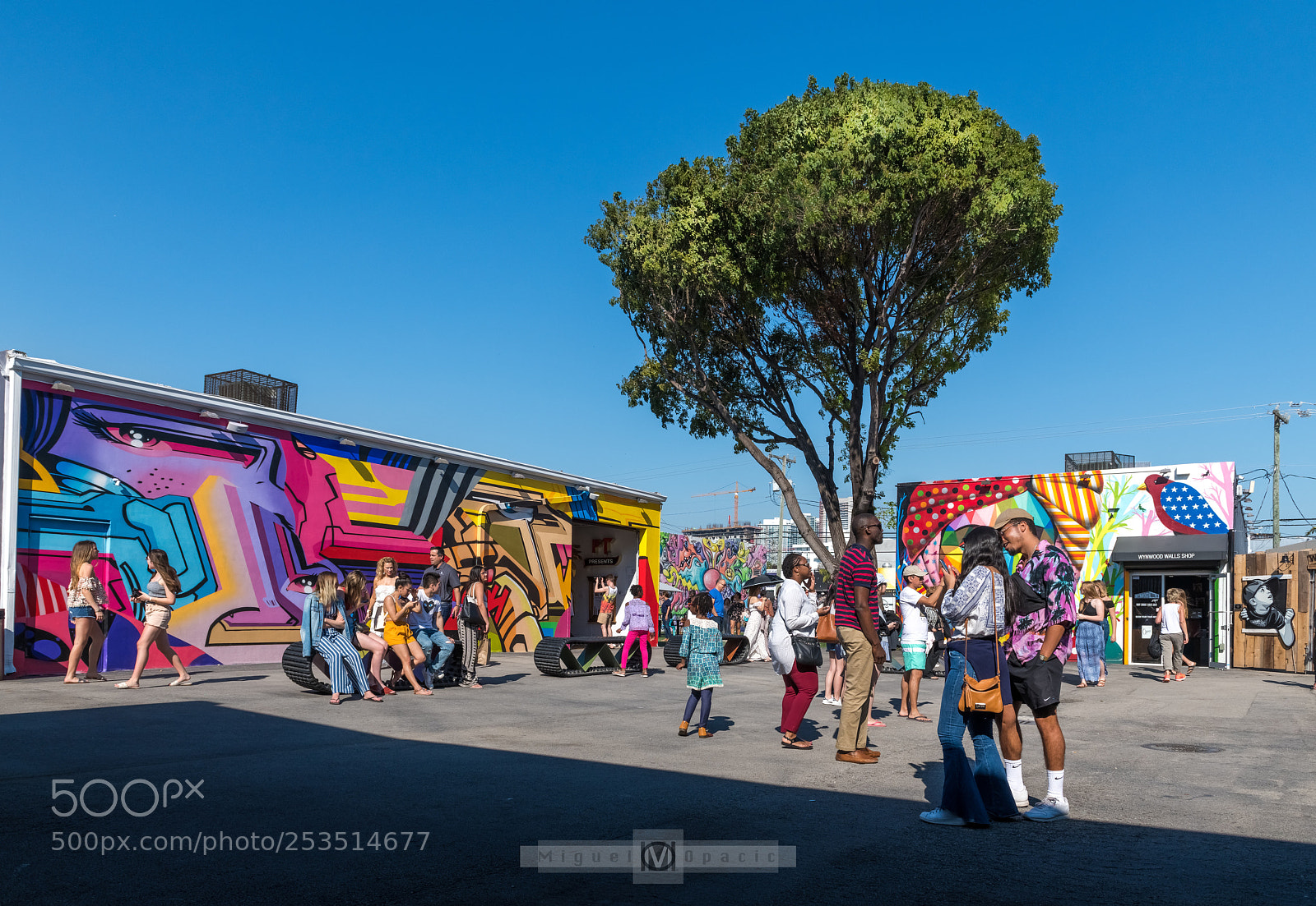 Nikon D850 sample photo. Enjoying art photography