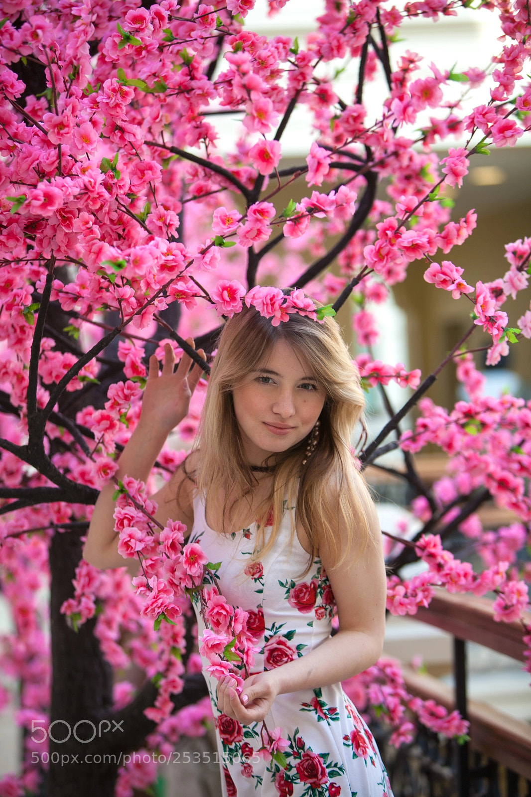 Canon EOS 5D Mark II sample photo. Portrait_amina photography