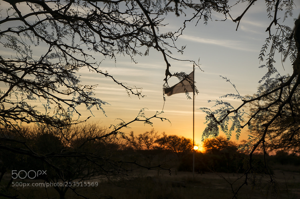 Sony Alpha NEX-5R sample photo. .los quebrachos... photography