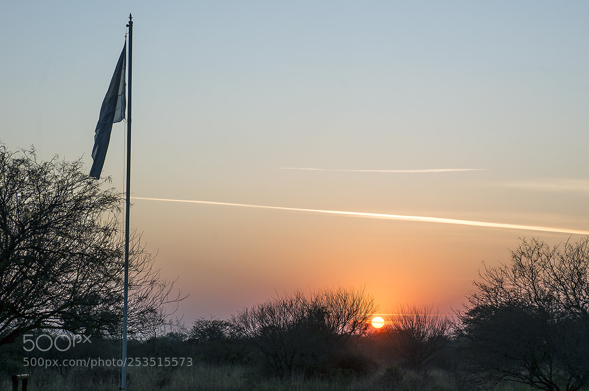 Sony Alpha NEX-5R sample photo. .... photography