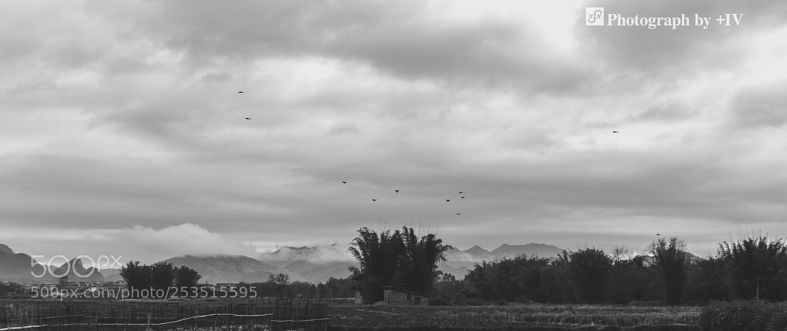 Pentax K-30 sample photo. 诗与远方 photography