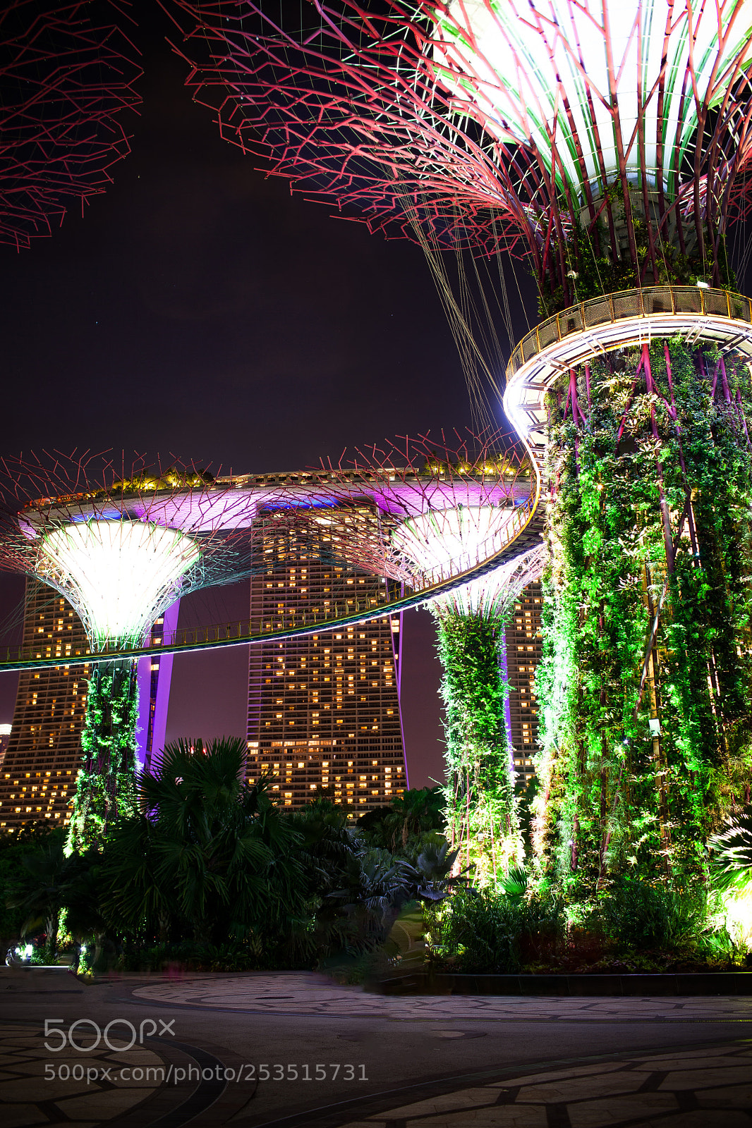 Canon EOS 5D Mark II sample photo. Garden by the bay photography