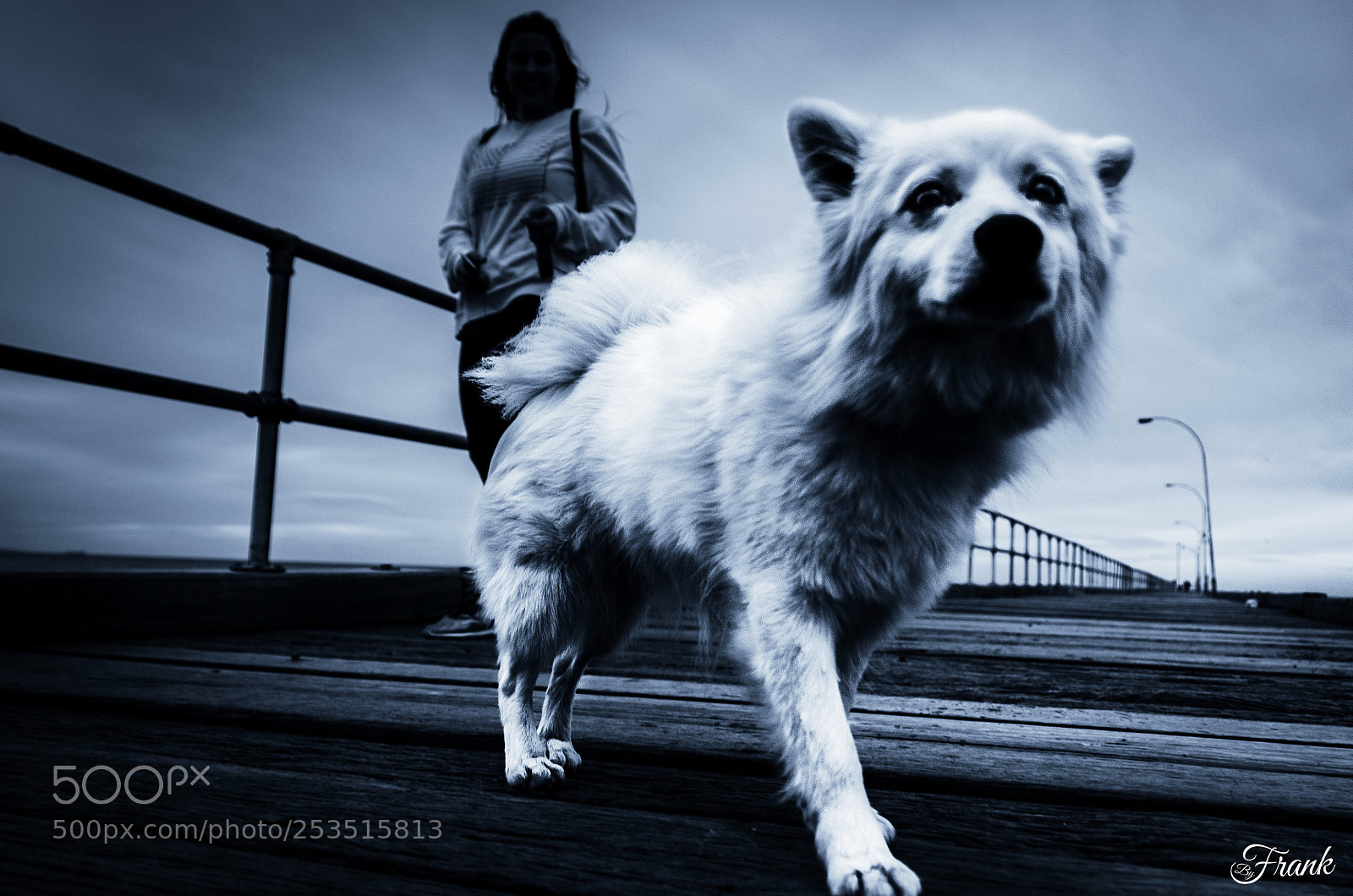 Nikon D7000 sample photo. Walkies photography