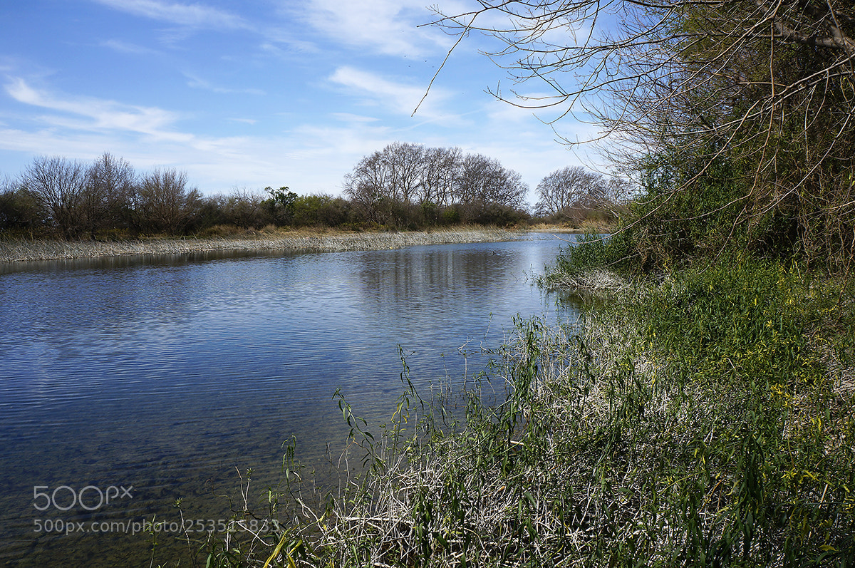 Sony Alpha NEX-5R sample photo. La florida.... photography