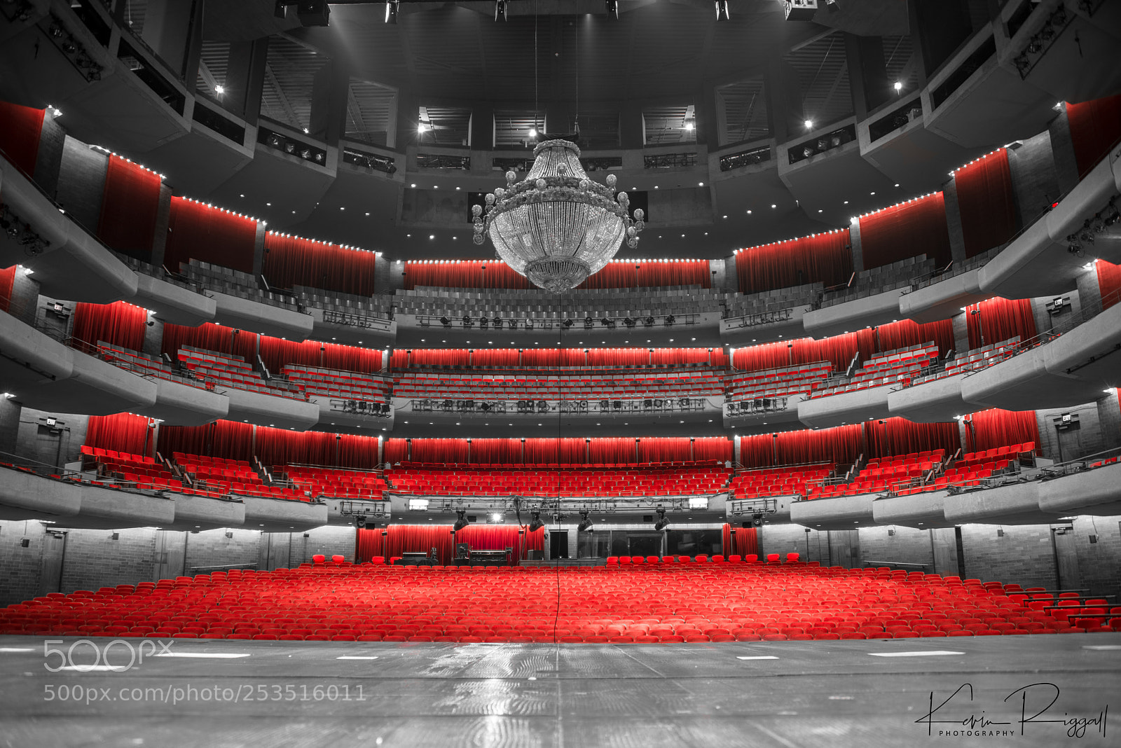 Nikon D610 sample photo. Carol morsani hall at photography