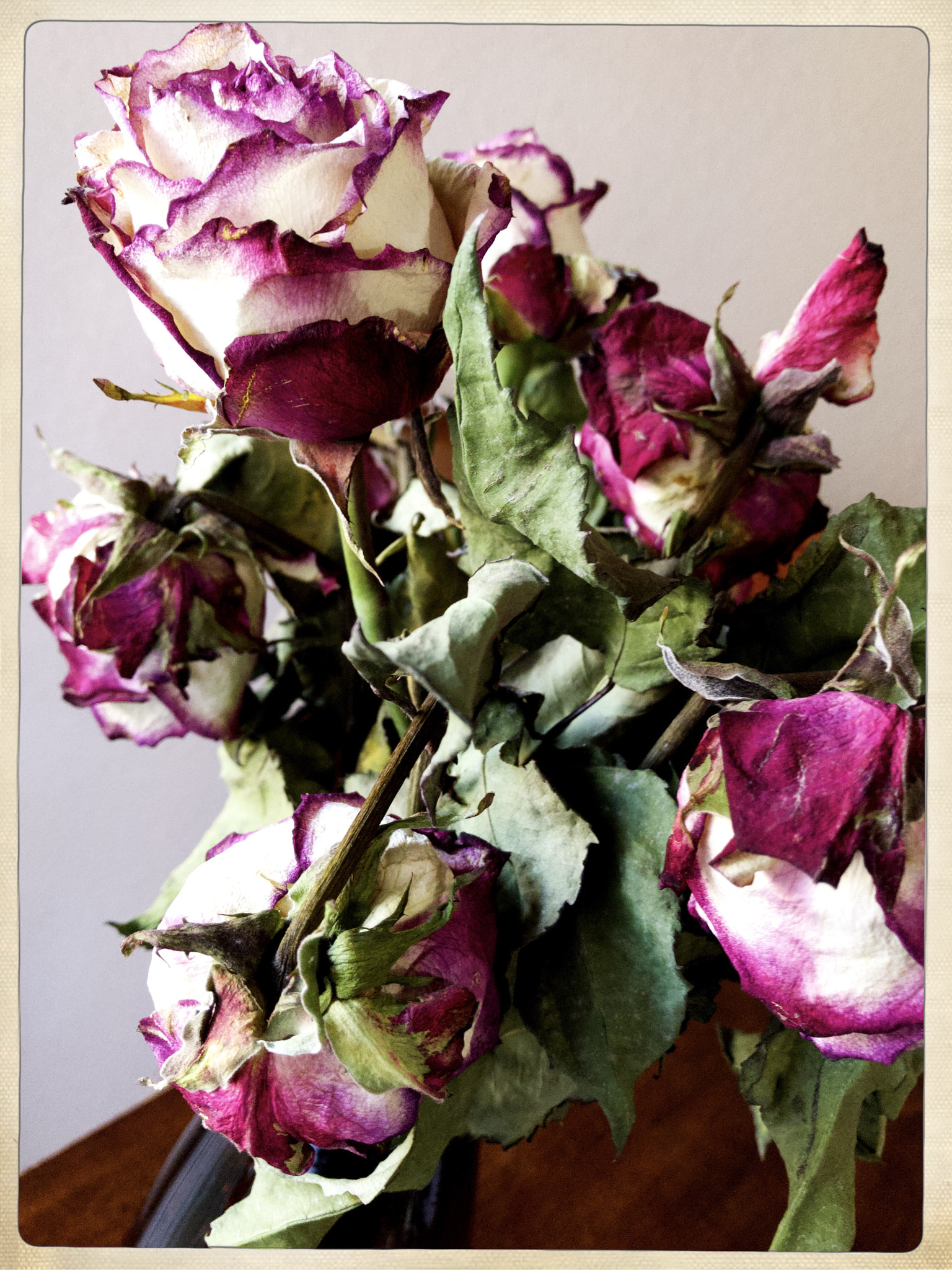 Hipstamatic 342 sample photo. Dried bouquet photography