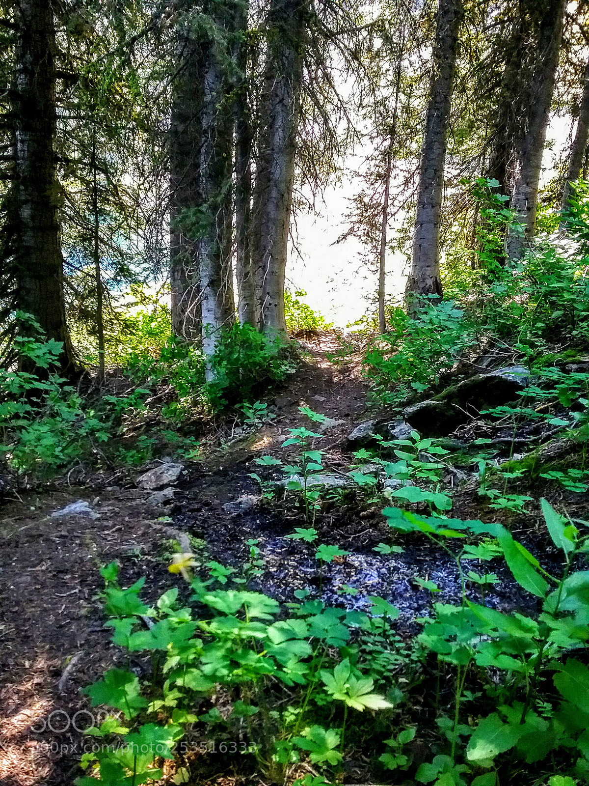 Samsung Galaxy J3(2016) sample photo. Trails up north photography
