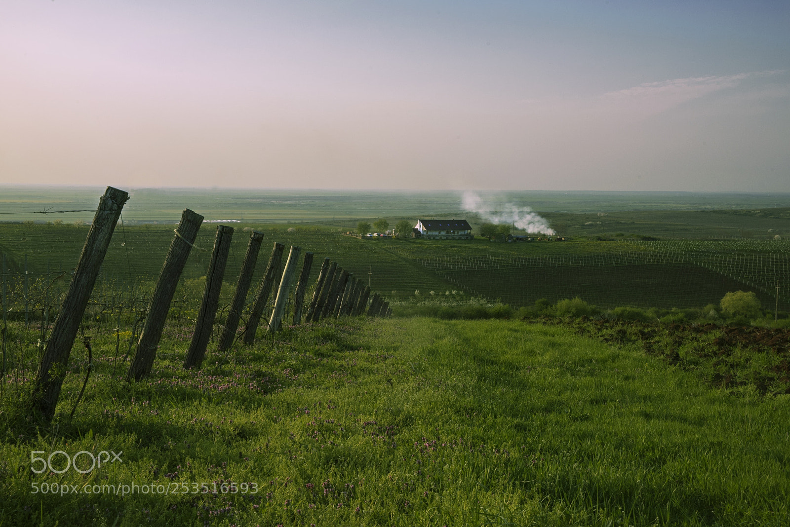 Nikon D810 sample photo. Untitled photography