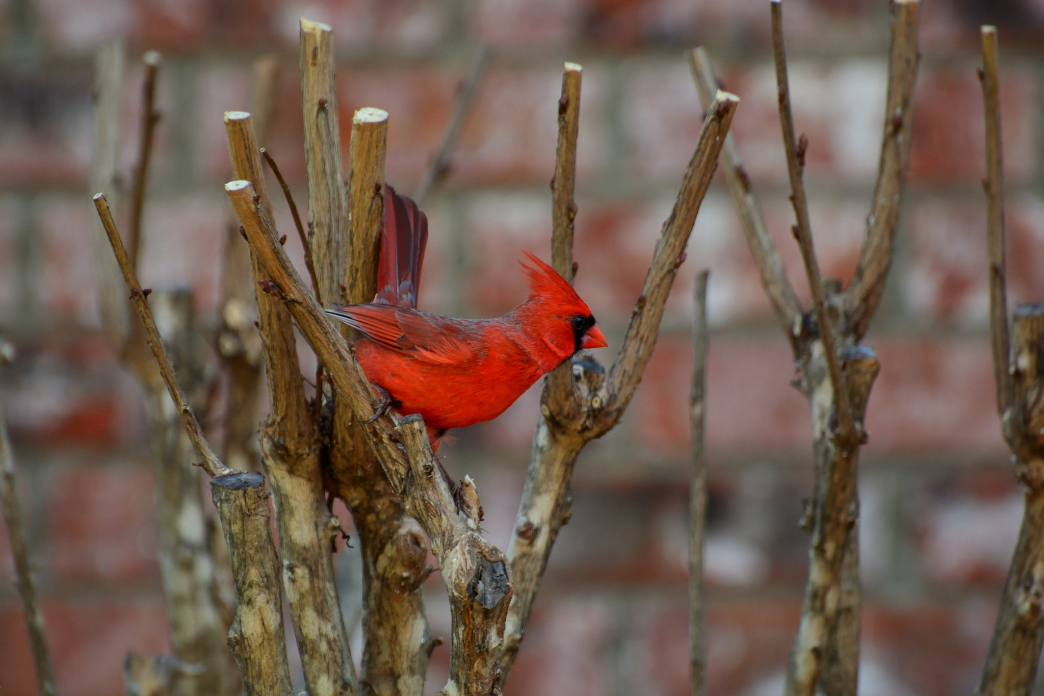 Nikon D5200 sample photo. Against the wind photography