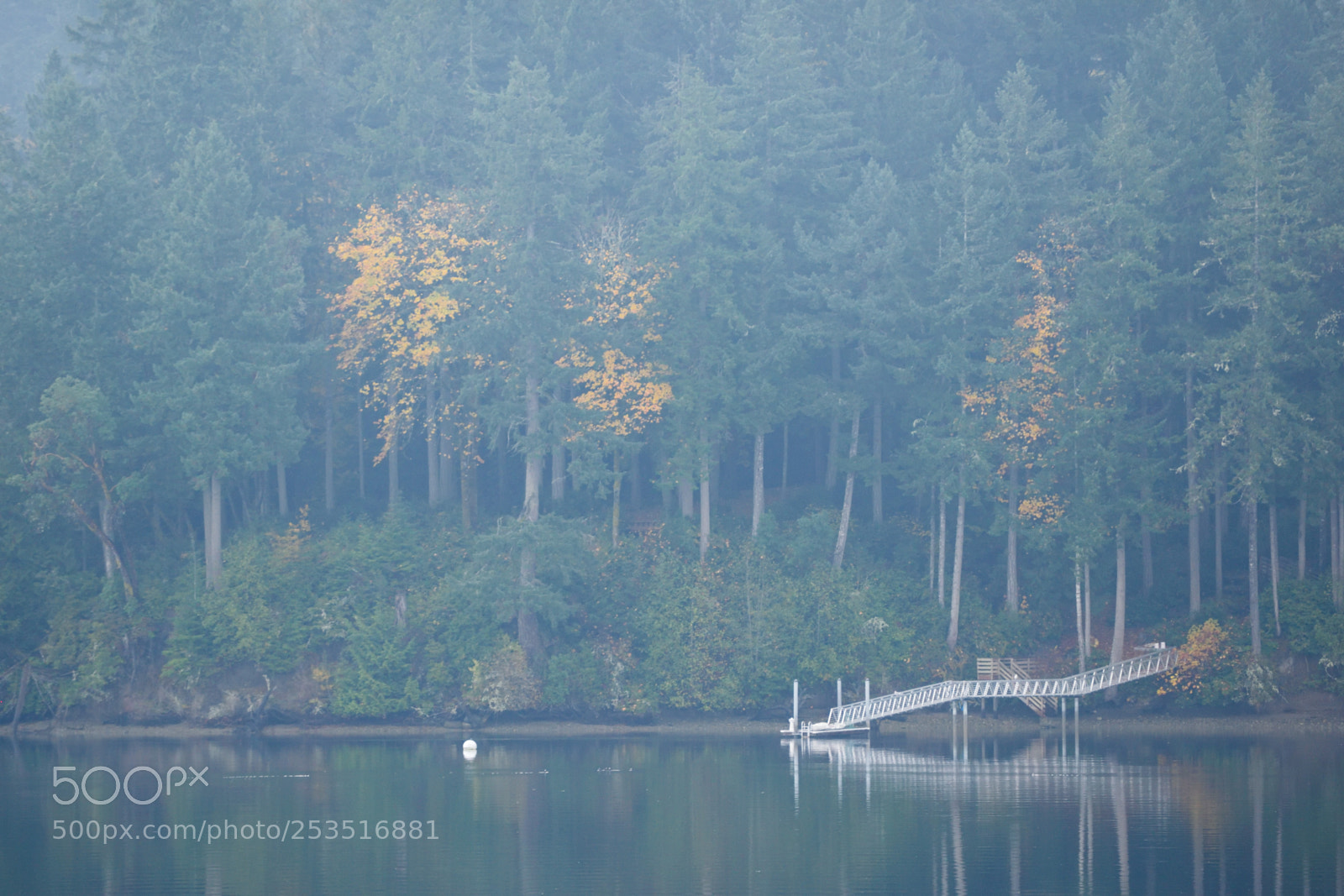 Nikon D3300 sample photo. Bridge to water photography