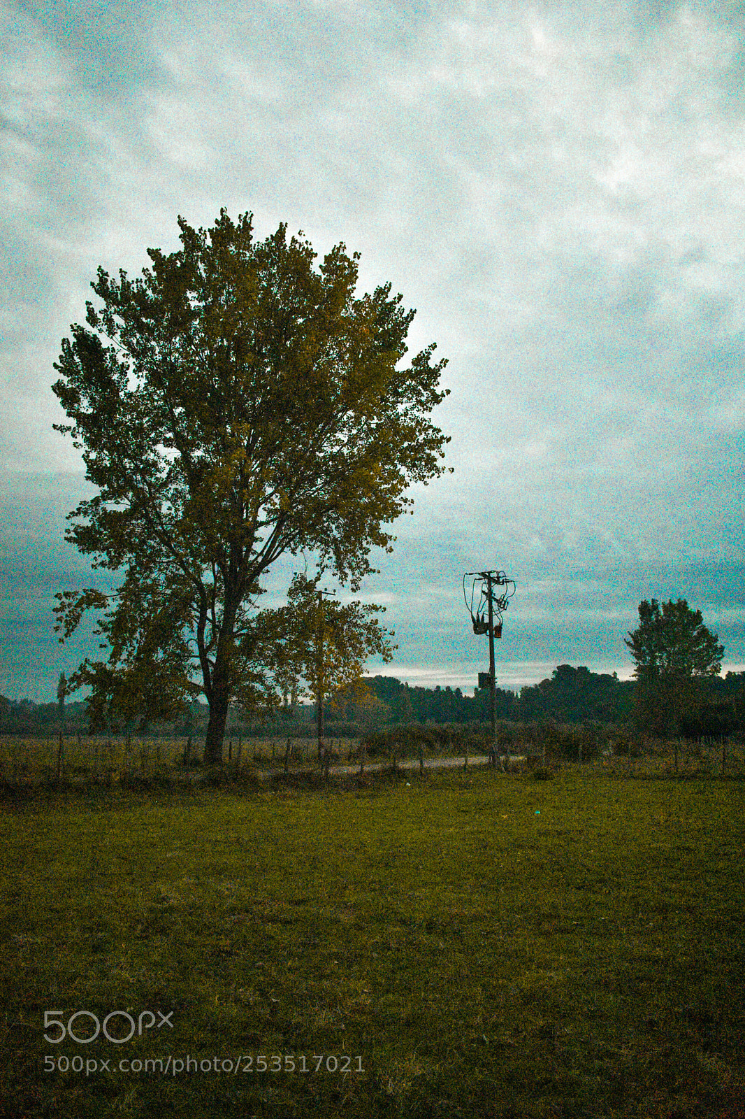 Nikon D3400 sample photo. Bluegreen photography