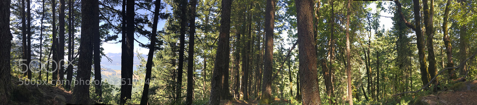 Apple iPhone 7 Plus sample photo. Pacific crest trail landscape photography