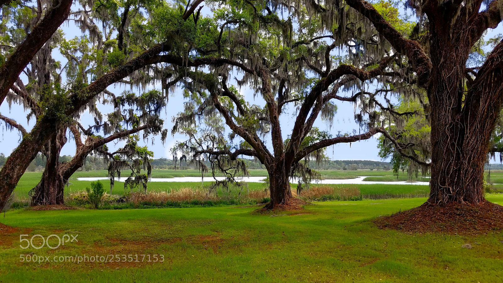 Samsung Galaxy S7 sample photo. Combahee plantation photography