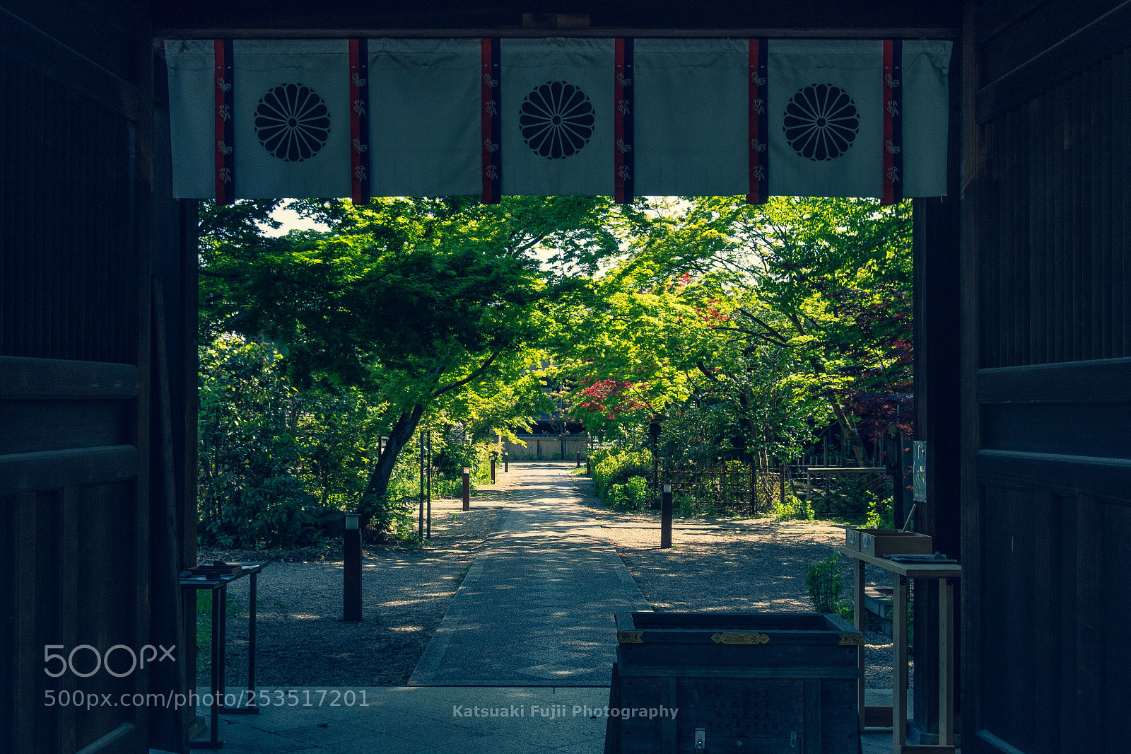 Olympus OM-D E-M10 sample photo. Nashinoki shrine s main photography