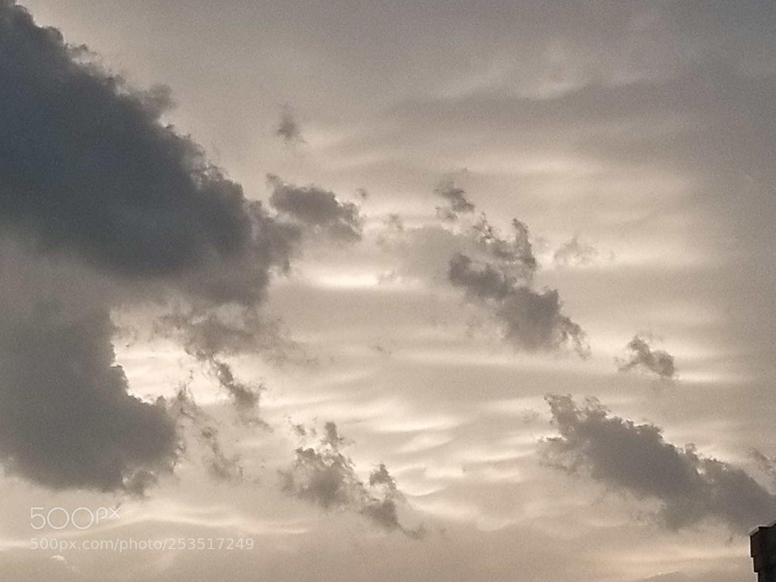 Samsung Galaxy S8+ sample photo. Untitled photography