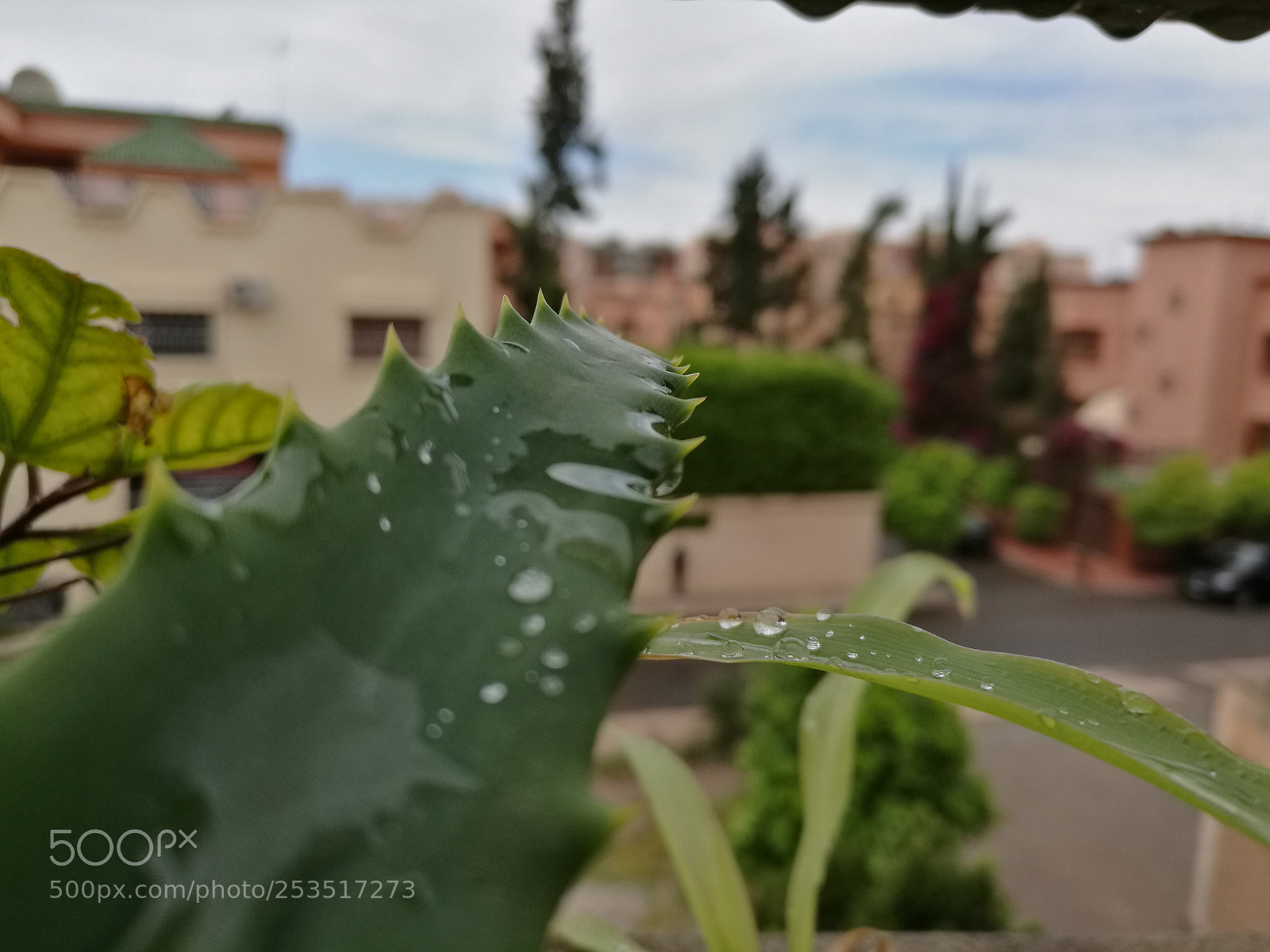 HUAWEI Mate 8 sample photo. Untitled photography
