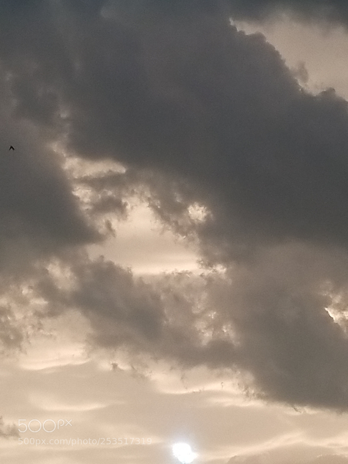 Samsung Galaxy S8+ sample photo. Untitled photography