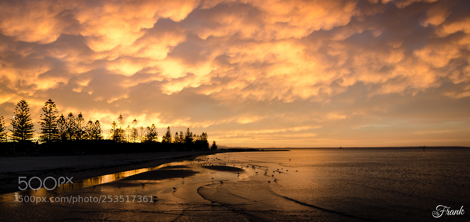 Nikon D7000 sample photo. Breaking dawn photography