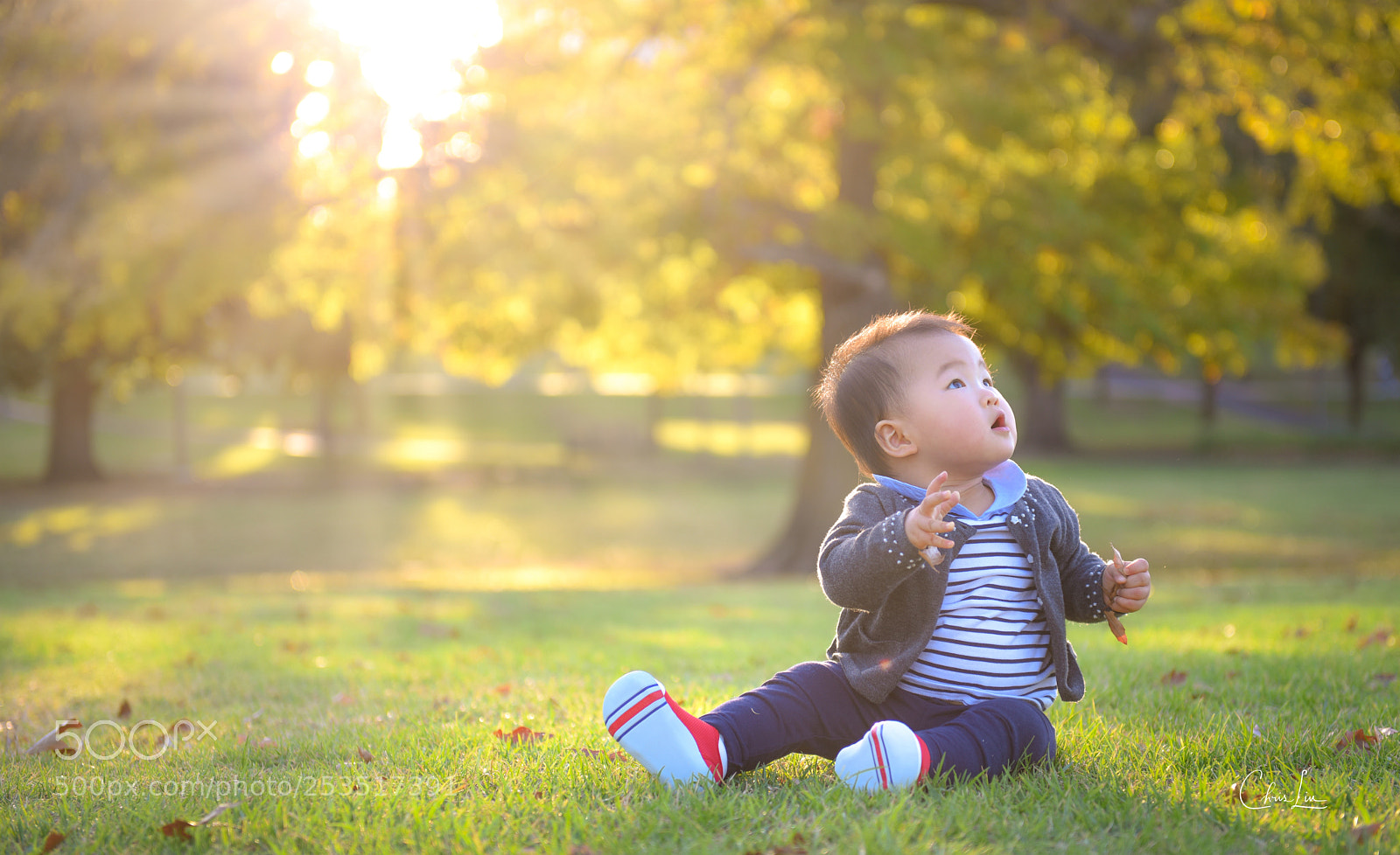 Nikon D810 sample photo. Autumn is coming photography