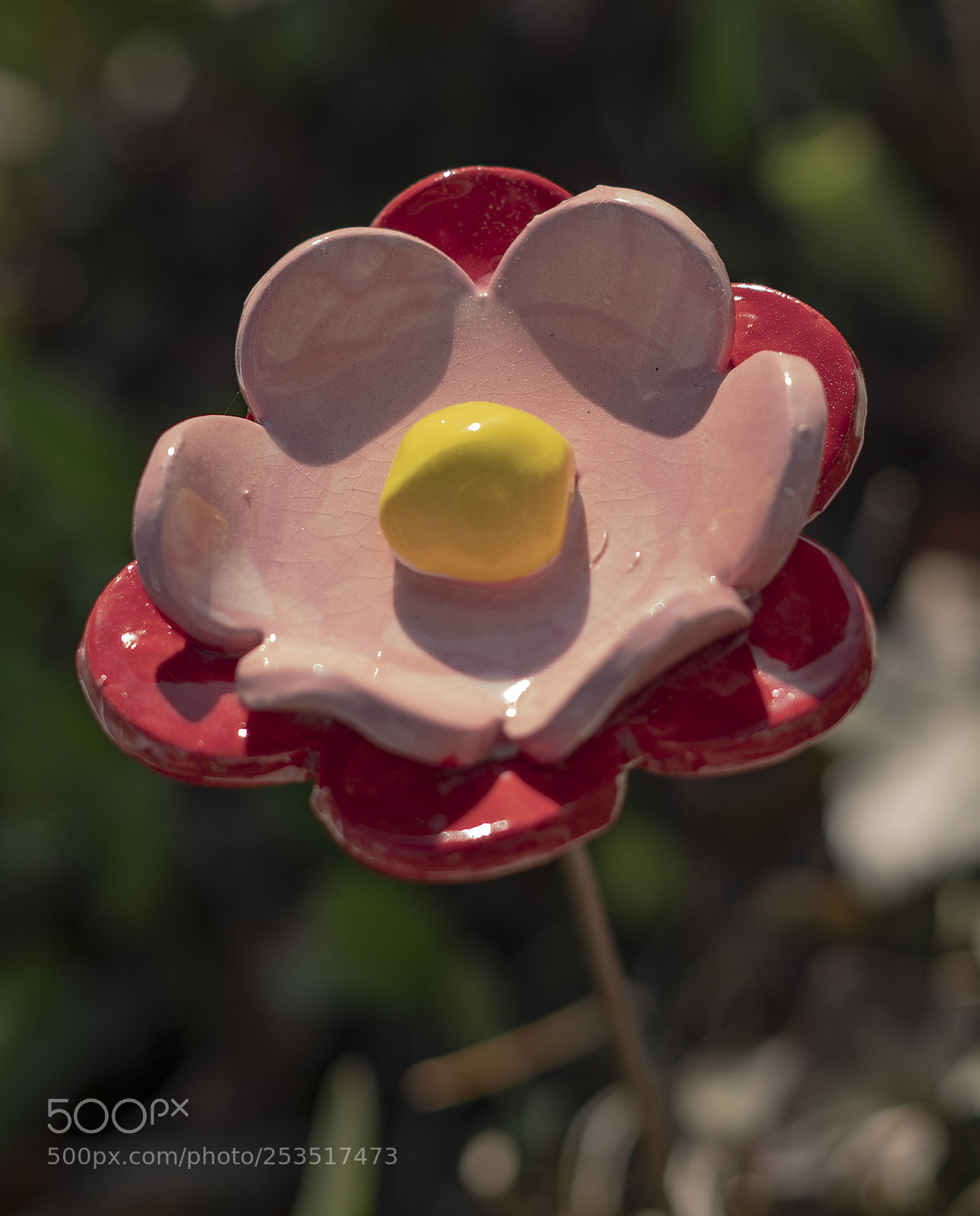 Sony a6300 sample photo. Bbdc o photography