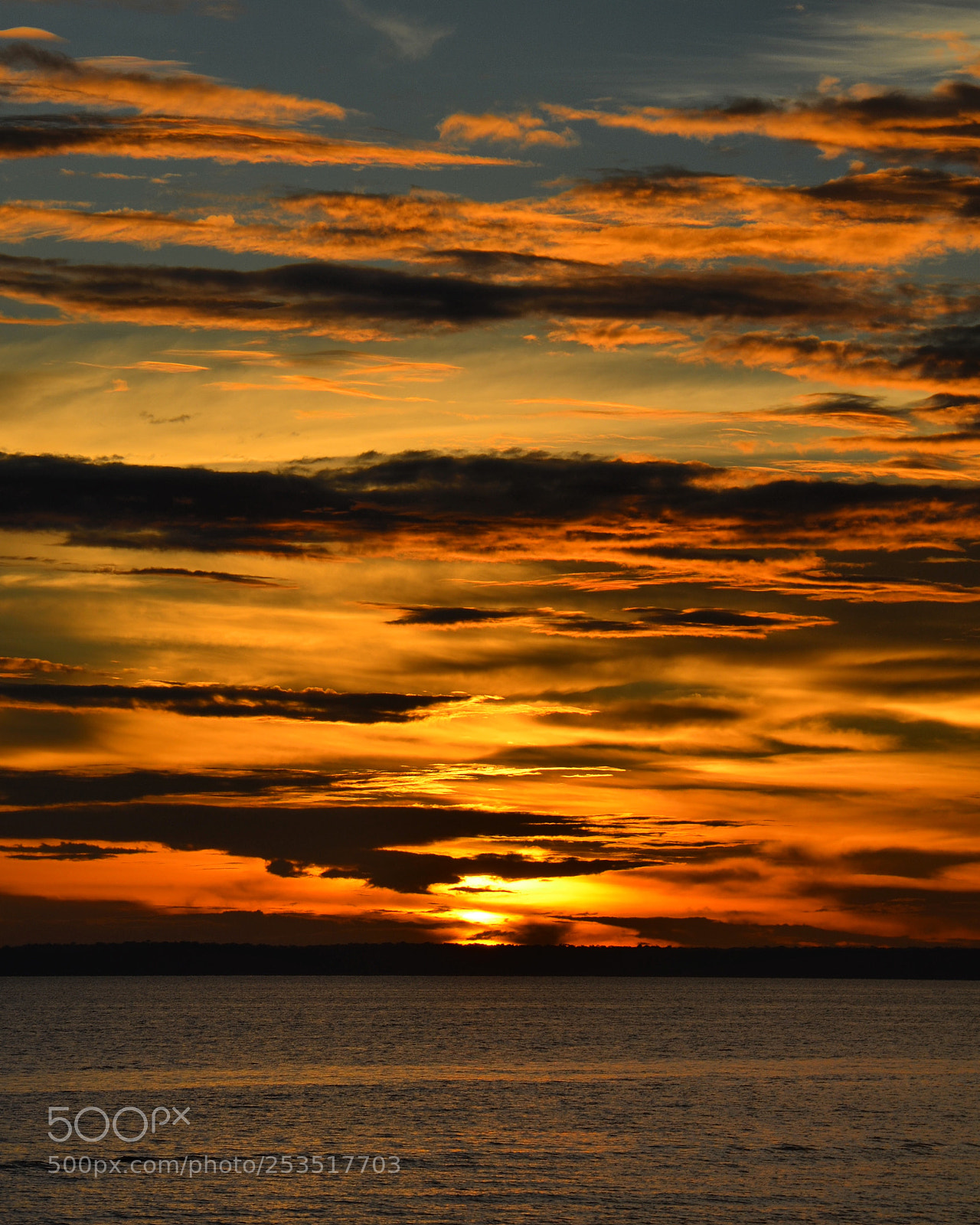 Nikon D7000 sample photo. Sunset ?? manaus . brazil photography