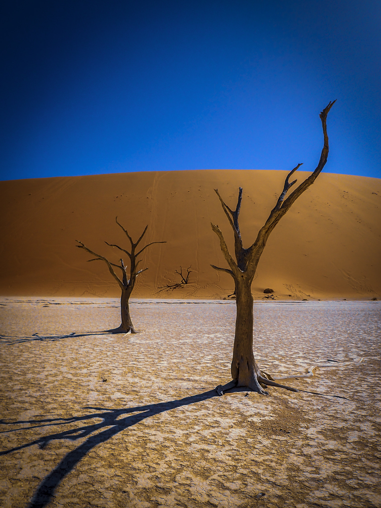 Olympus TG-3 sample photo. Deadvlei,namibia photography