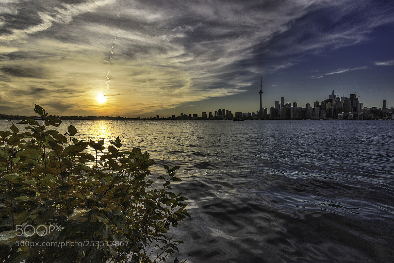 Nikon D600 sample photo. Toronto photography