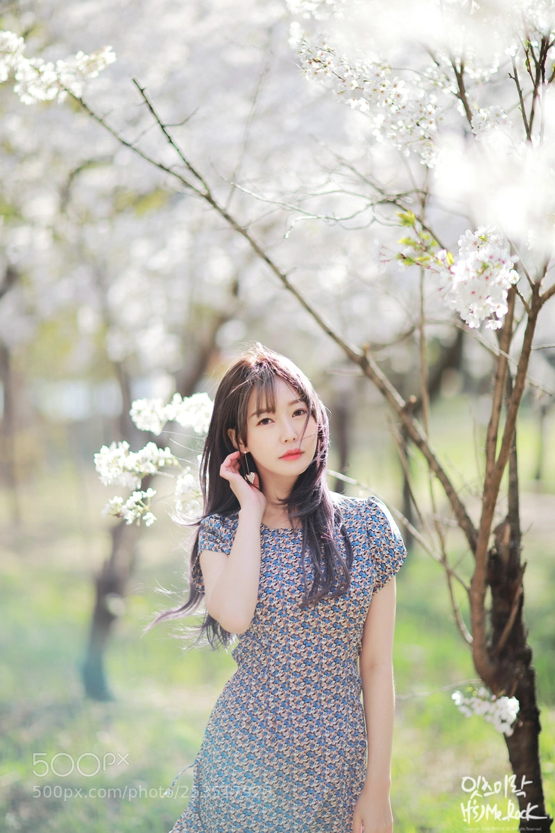 Canon EOS 5D Mark IV sample photo. Spring and cherry blossoms photography
