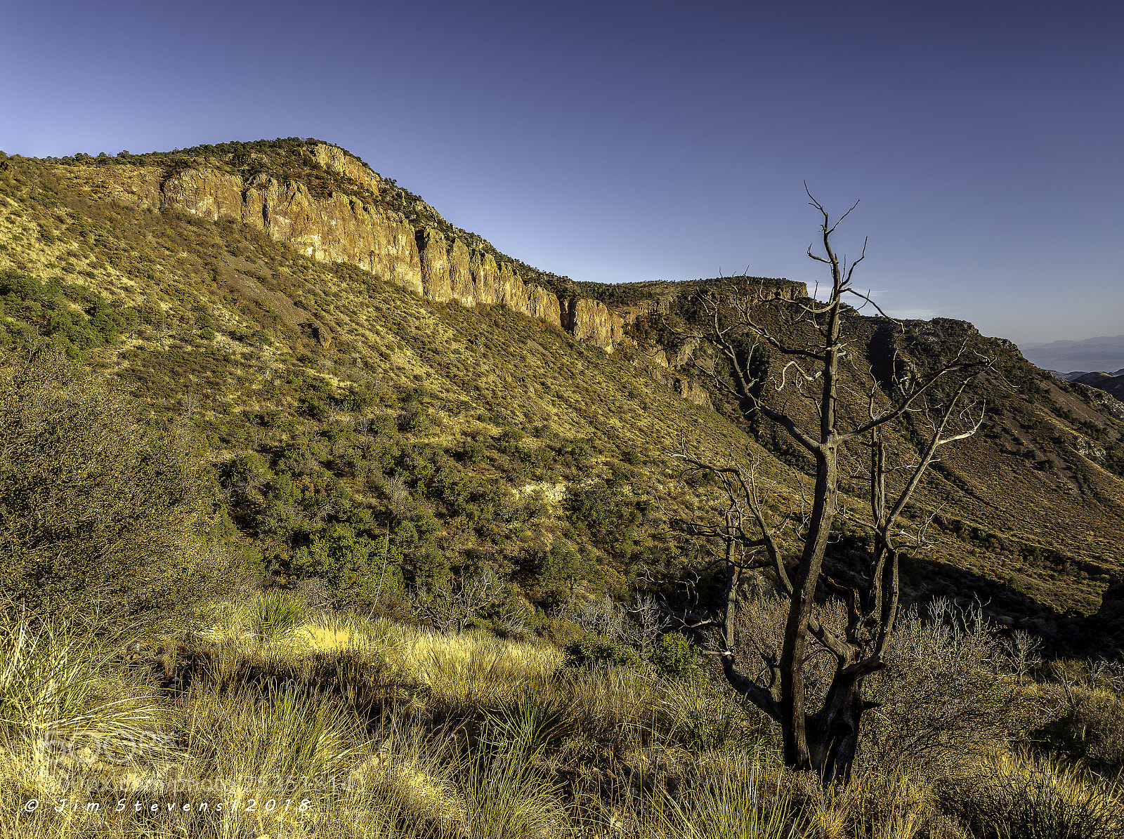 Canon EOS-1D X sample photo. Blue creek trail vista photography
