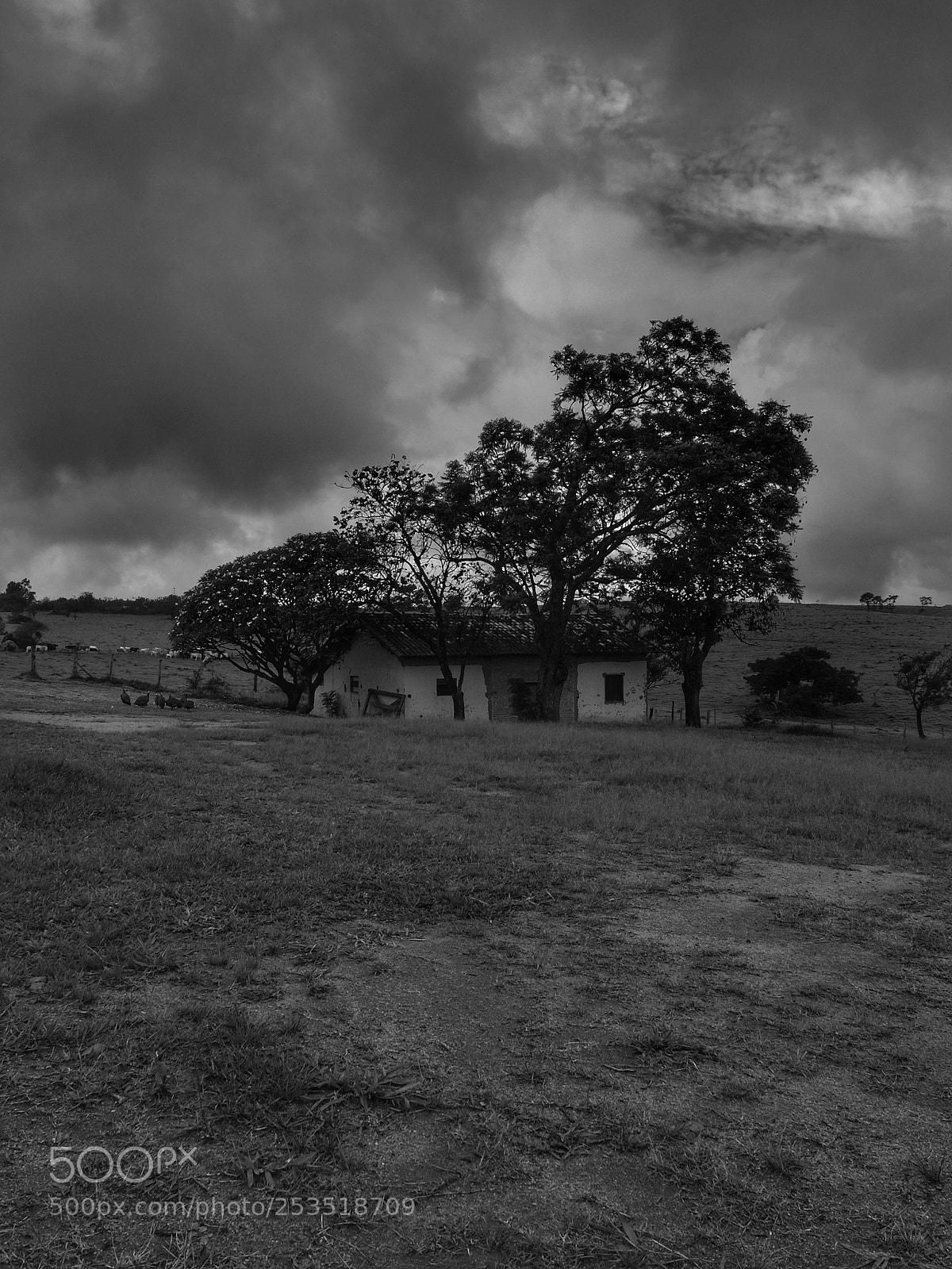 Fujifilm X30 sample photo. Abandoned photography