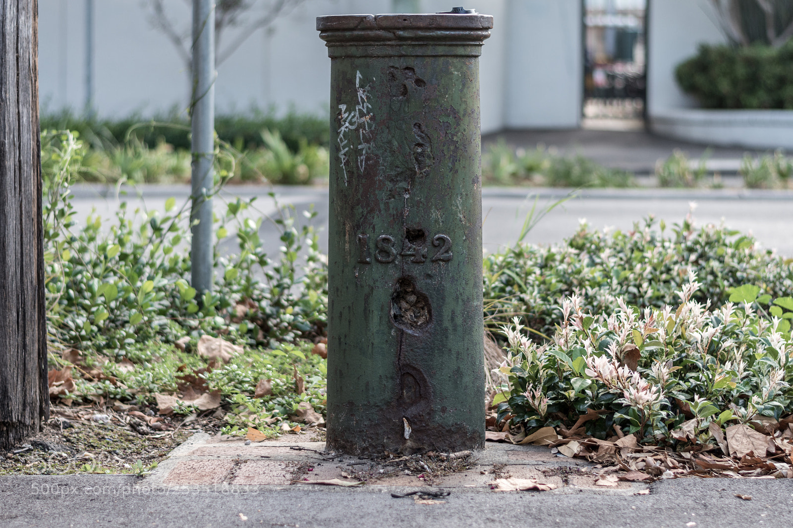Nikon D5500 sample photo. 1842 photography