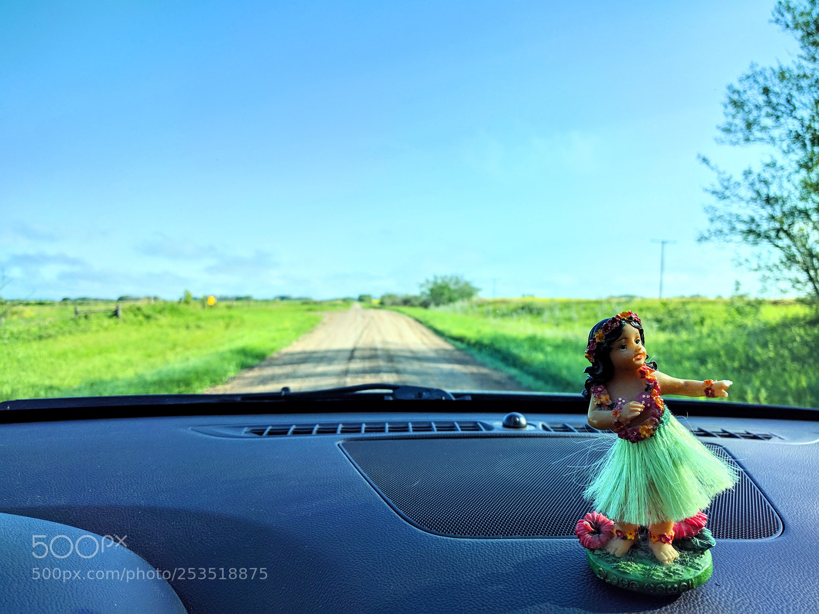 Google Nexus 6P sample photo. It's about the drive photography