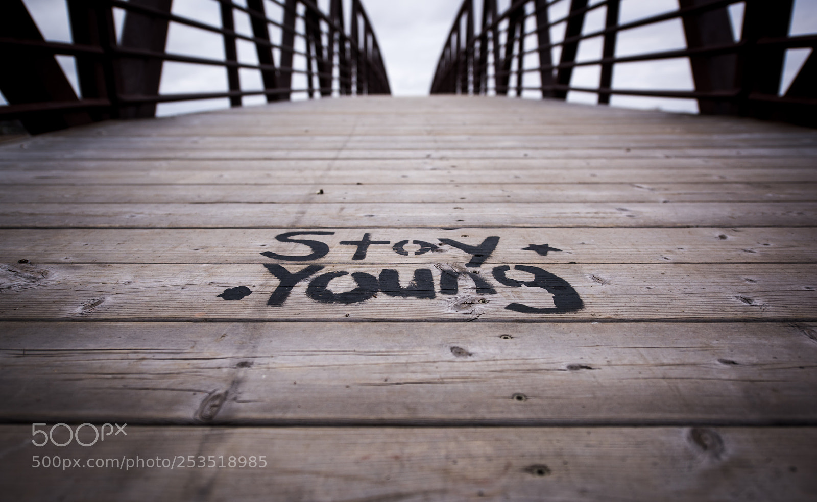 Nikon D810 sample photo. The message photography