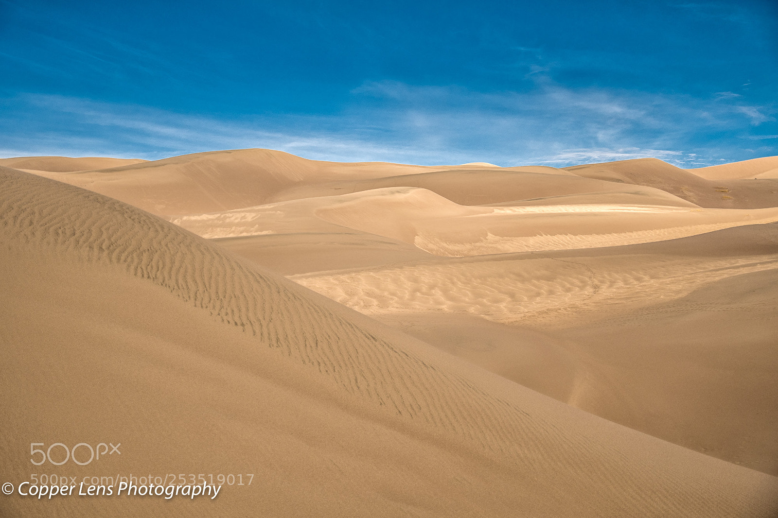 Nikon D500 sample photo. Colorado dunes photography