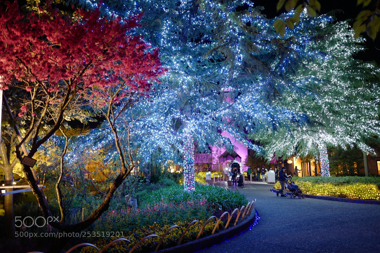 Leica Q (Typ 116) sample photo. Untitled photography