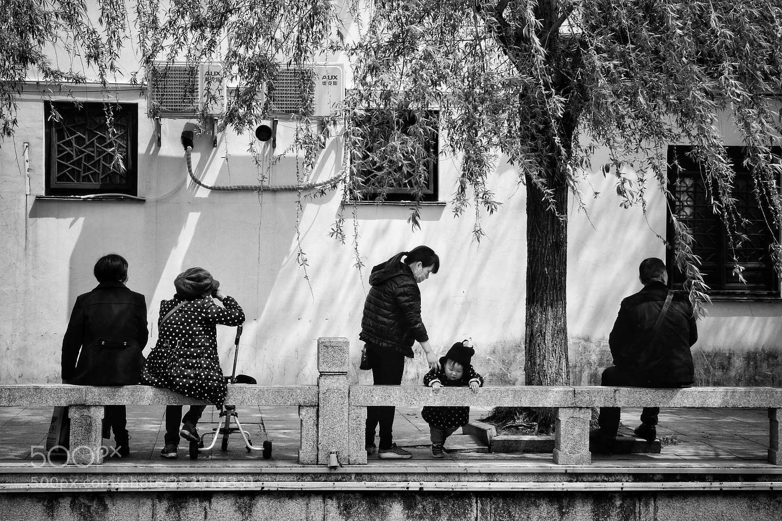 Fujifilm X-T20 sample photo. 河边树下 photography