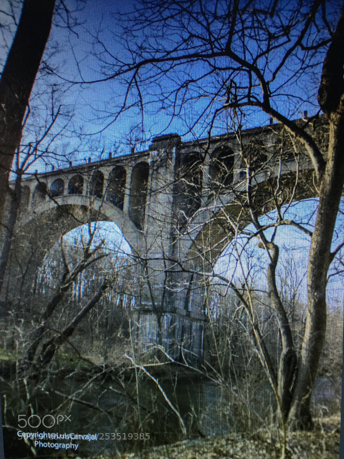 Apple iPhone 6 sample photo. Paulinsky bridge photography